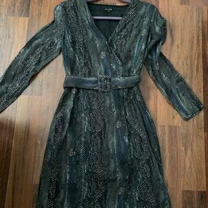 Massimo Dutti Dress